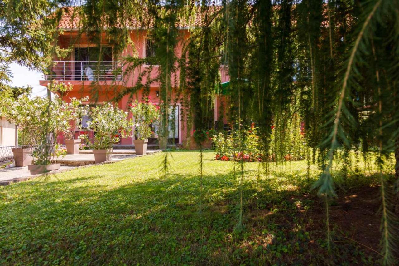 Studio 1 Golubac Ngoại thất bức ảnh